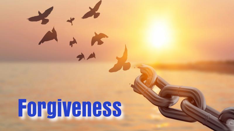 Forgiveness: Detoxifying our Heart to Promote Healing